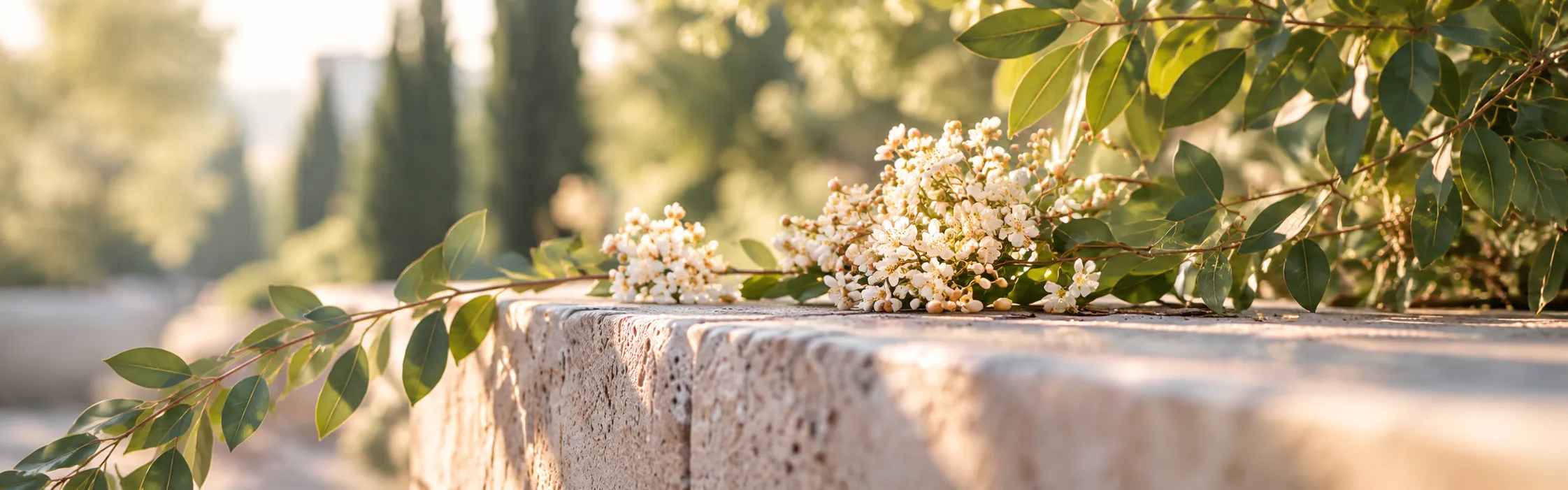Fleurs blanches et feuillage déposés près d’une sépulture